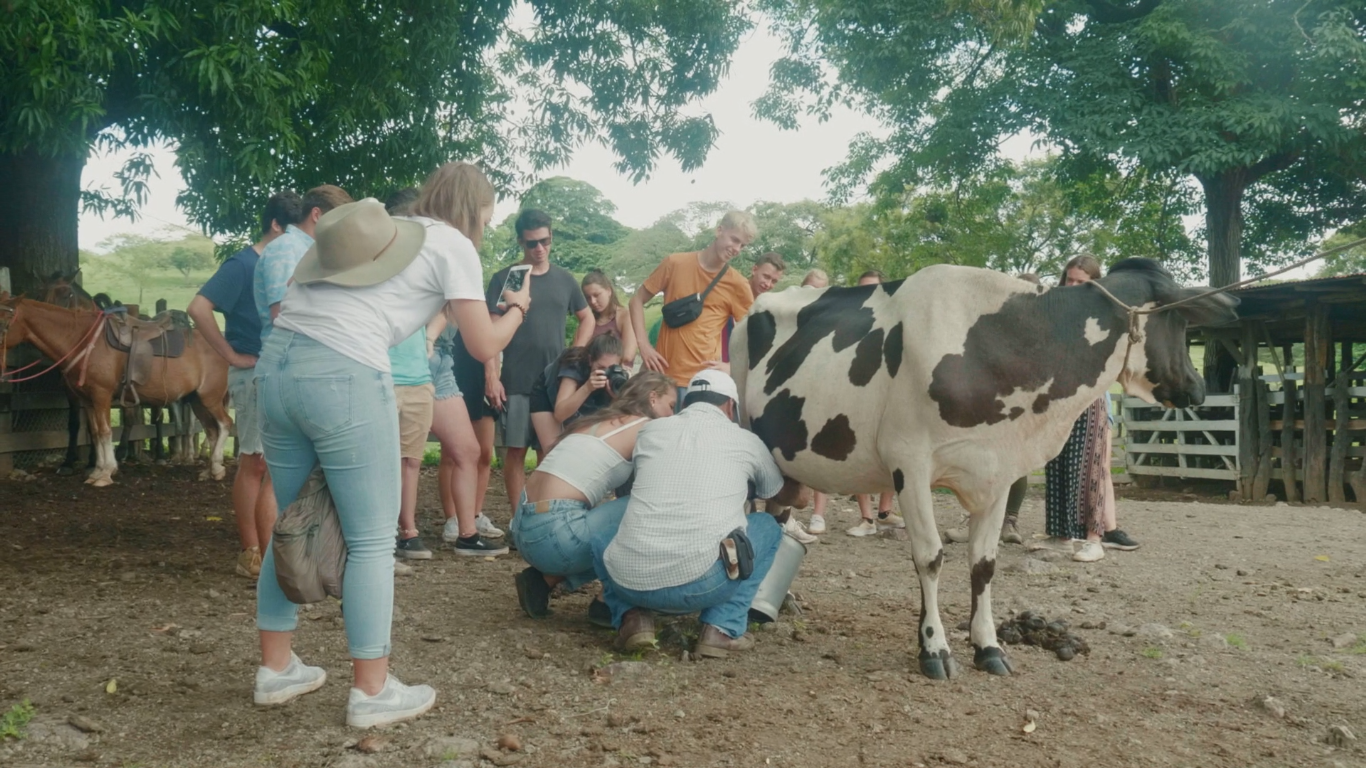 Featured image for “Dreamsea Costa Rica – Farm Excursion! (VIDEO)”