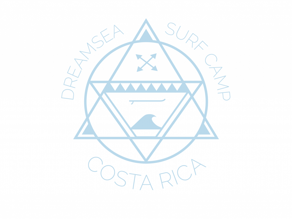 Dreamsea Surf Camp Costa Rica - Logo