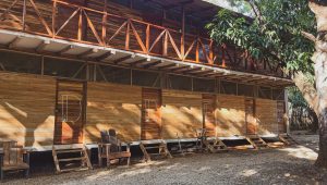 Dreamsea Costa Rica | Media Files | Image | Picture of cabins at the resort