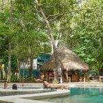 Dreamsea Surf Camp Costa Rica | Picture of pool and accommodations near beach in wilderness
