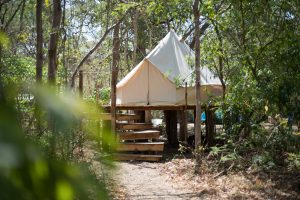 Dreamsea Costa Rica Surf Camp | Accommodations | Private Master Tent image