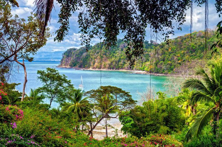 Dreamsea Surf Camp Costa Rica | Blog Post | The Ultimate Costa Rica Surf Guide | Featured Image & Main Header Image | Image of lush vegetation, green trees on hillside with a beach overlooking the pacific ocean showcasing a pivotal spot for sailing and surfing